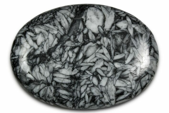 Polished Pinolite Palm Stone - Austria #343901